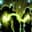 Dryad's Favor icon